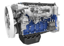 W020241220313255659126