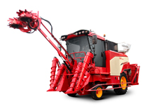 W020220430566084765547