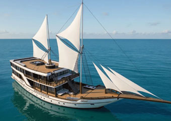 W020260106617865382253