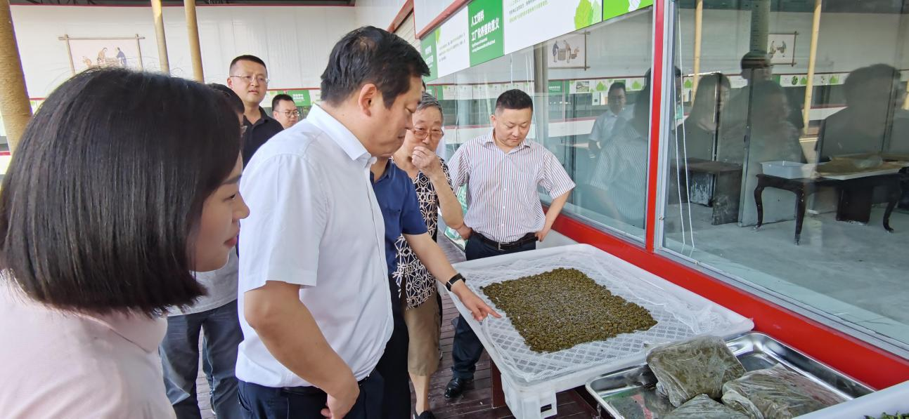 省银娱优越会集团党委副书记、董事陈日赴嘉陵区调研茶桑工业生长情形