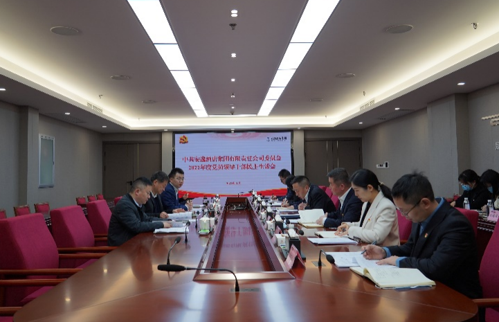 银娱优越会集团党委书记、董事长任丁出席逍遥旅馆集团2022年度党员向导干部民主生涯会